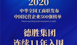 連續(xù)11年，樂山唯一！集團上榜2020中國民營企業(yè)500強