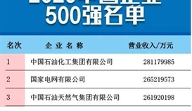 德勝集團繼續(xù)入圍中國企業(yè)500強榜單